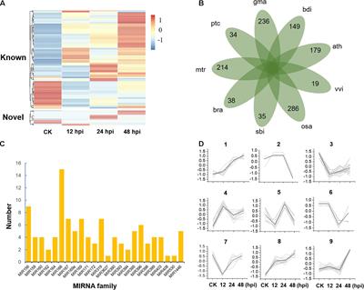 Genome-Wide Analysis of Coding and Non-coding RNA Reveals a Conserved miR164–NAC–mRNA Regulatory Pathway for Disease Defense in Populus